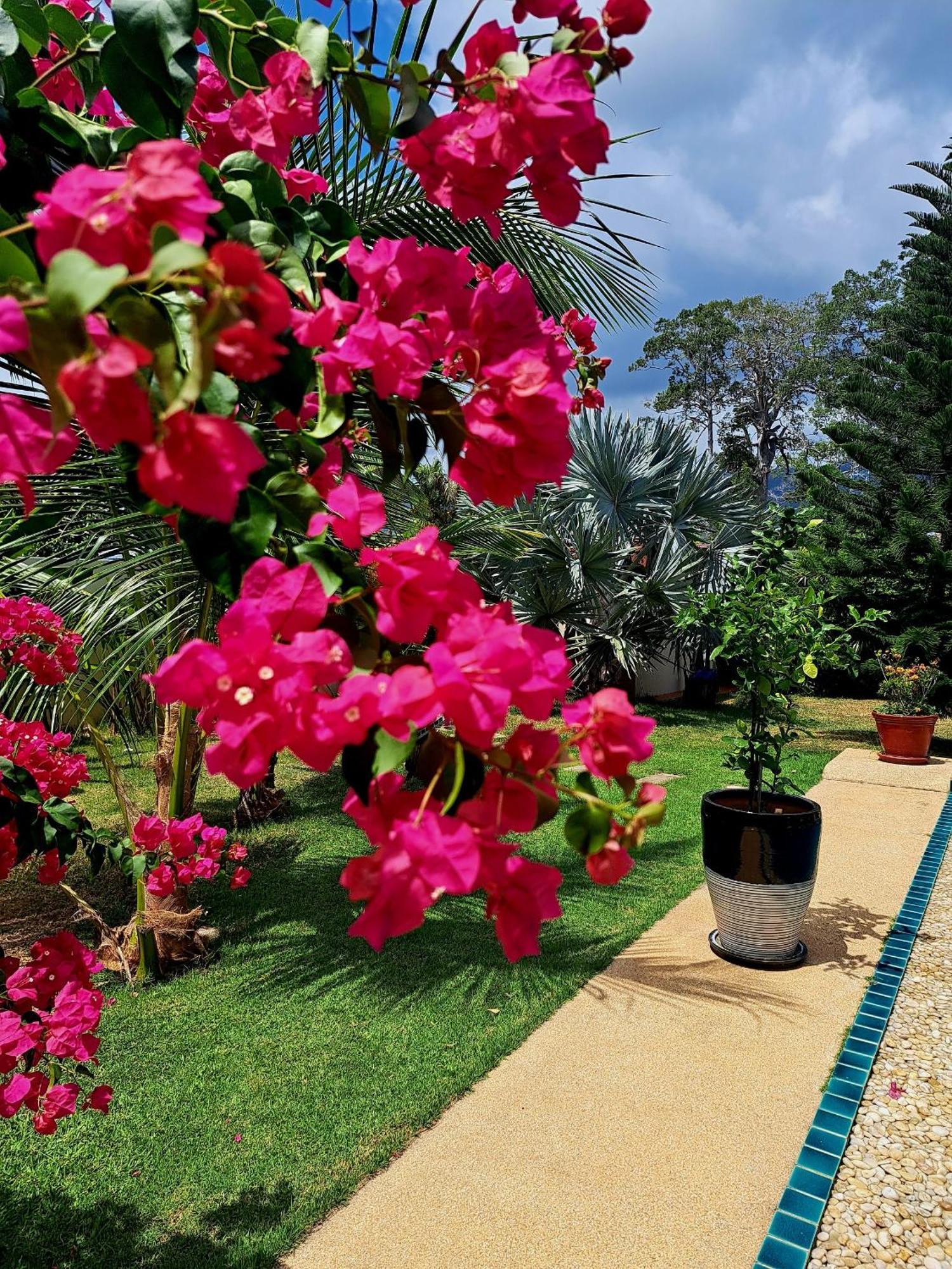 Laura Guest House-Adult Only- Hua Thanon  Exterior photo